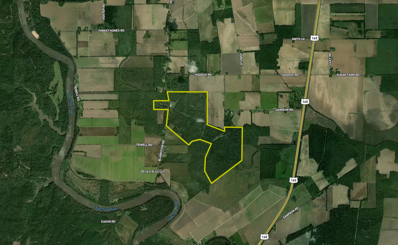 Screenshot 2026-03-12 at 2.21.46 PM