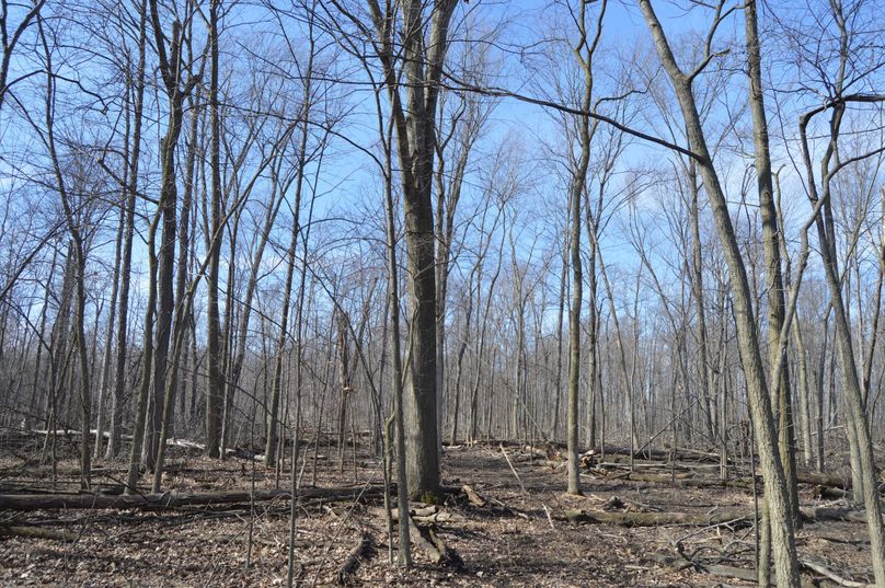 looking west from landing