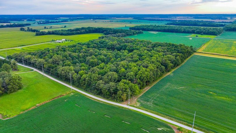 DJI_20240821065538_0002_D