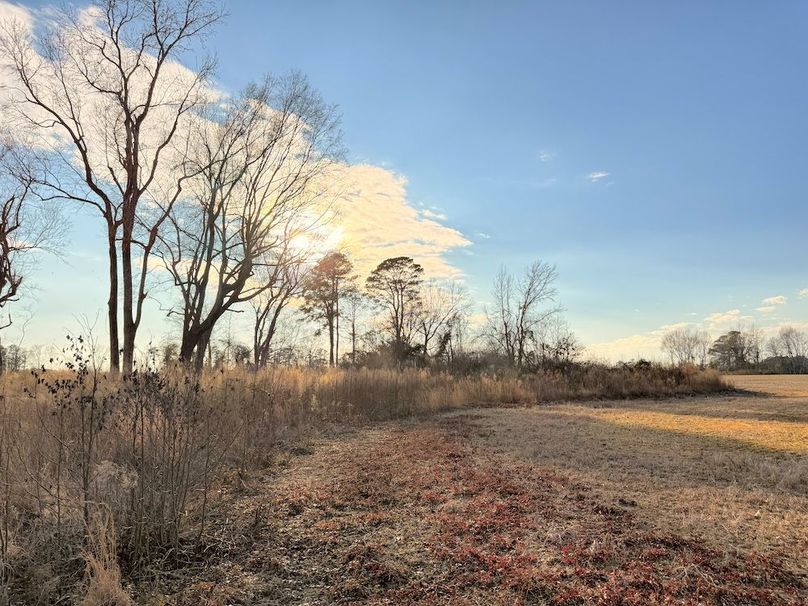 482454EE-DB4C-4048-BBFB-D337D8A3DAA6