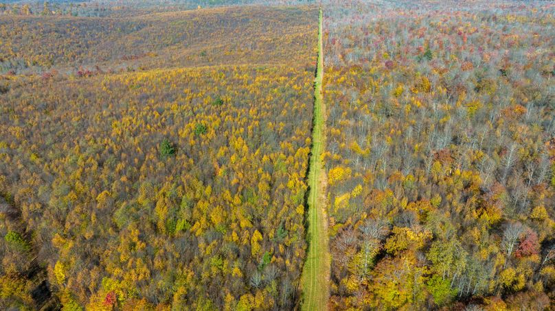 Elk PA 7000 Feature_Pro Photo-100