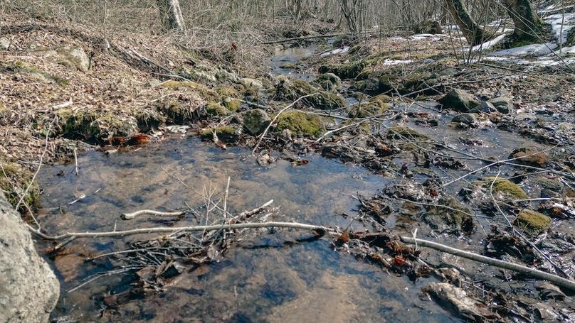 DJI_20260217114958_0075_D