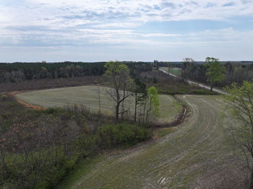 Copy of DJI_20260303065736_0612_D