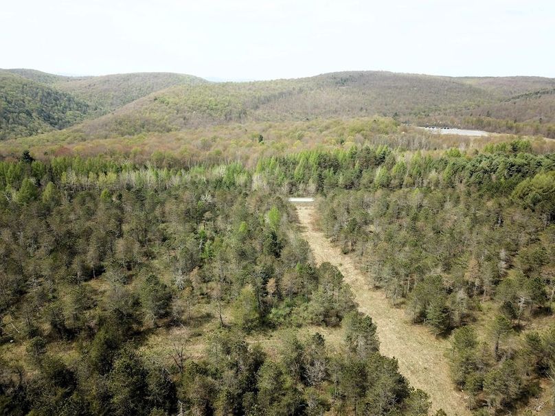 DJI_0011