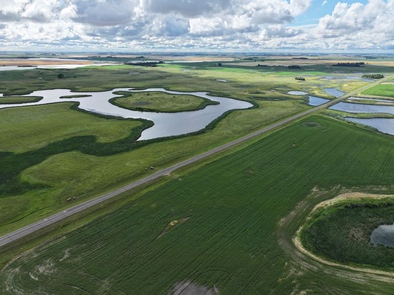 Copy of DJI_20240809103508_0225_D