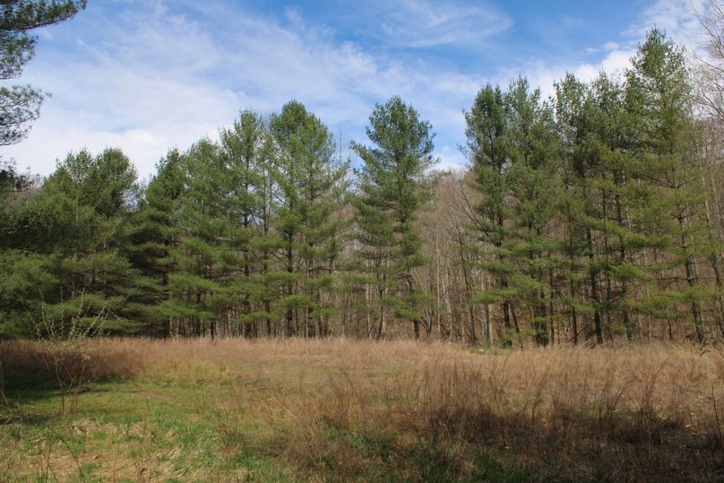 012 amazing views from the flats for a potential cabin or home