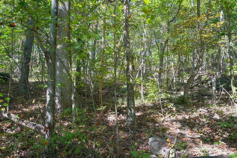 Fayette, 199, Hostetler-29