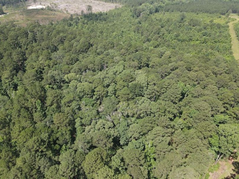 DJI_0343