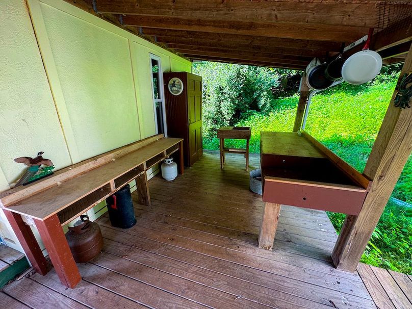 Wirt, WV 145.69 AC 273 Wildflower-45