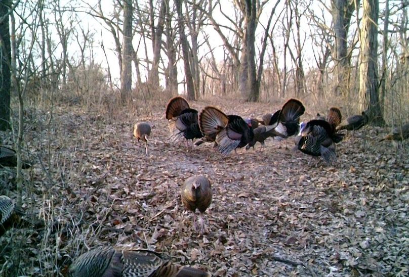 Screenshot_20240823_163636_Gallery