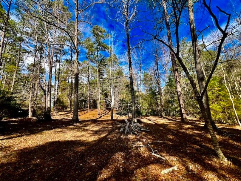 98E1D80D-AFE0-4AD7-97E1-BE52EAC05BA4_1_201_a