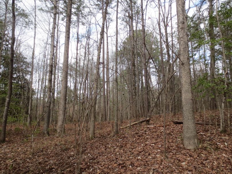 BD488DE5-94B8-49F2-80BC-E44A74F3CD13