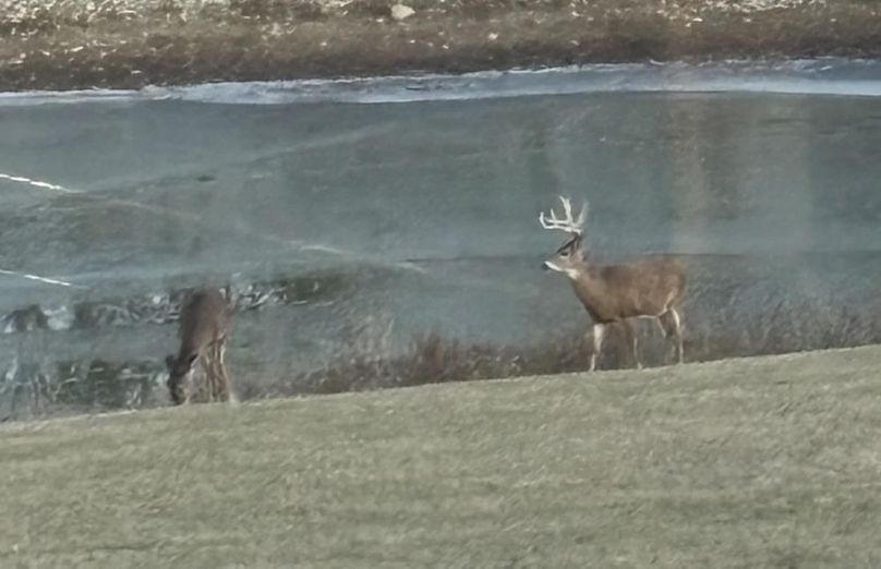 538bbb82-6ec5-440e-8e5c-f59fdfcf6b06