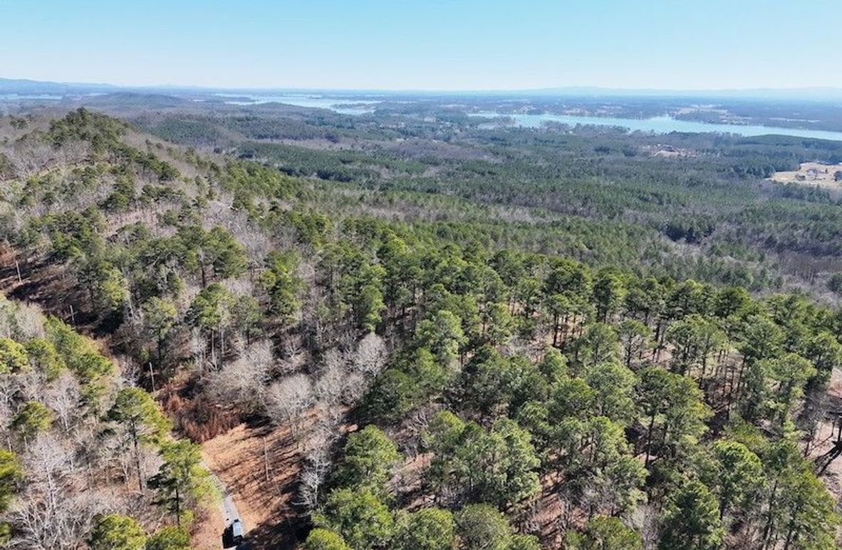 DJI_20260212111236_0008_V