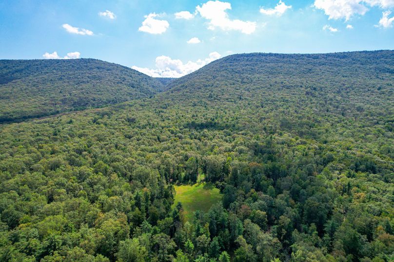 dji_fly_20230912_125438_295_1694538395101_photo