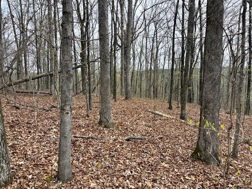 8D523411-0E6A-4818-8C89-223BB89D1BCD_1_201_a