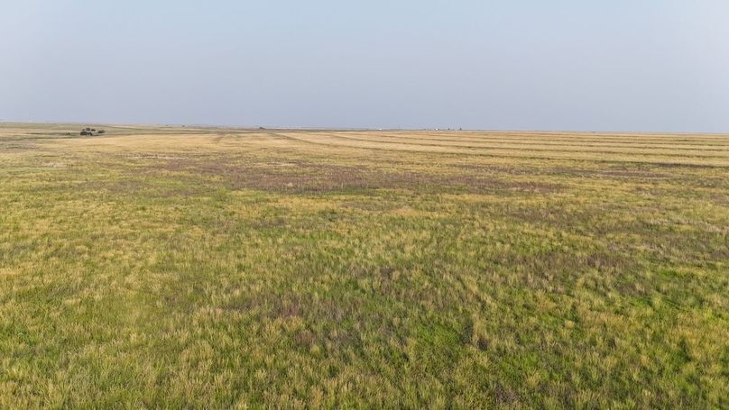 dji_fly_20240724_193140_0311_1724437897625_photo