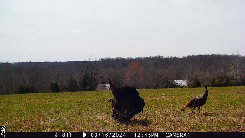 trail cam4