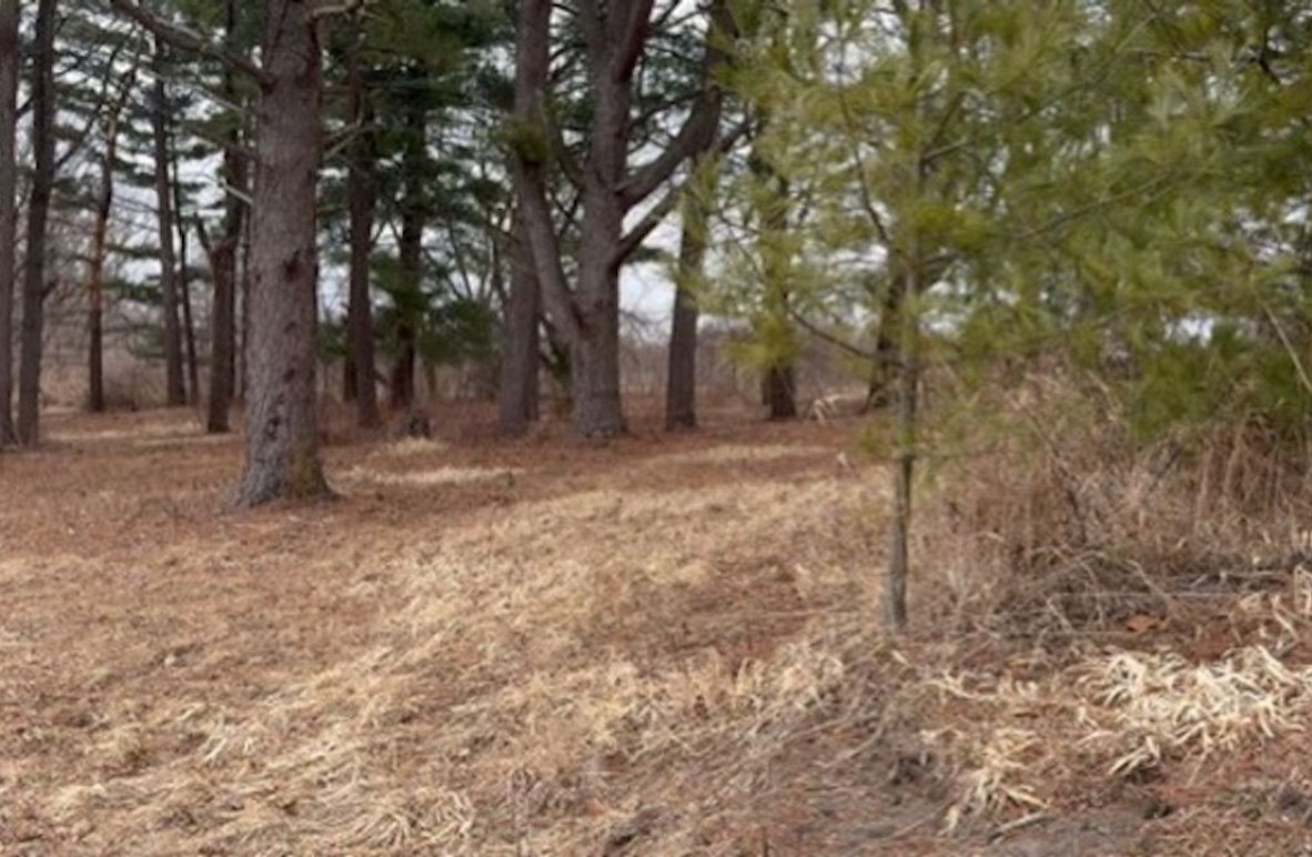 000CE148-0814-423B-9BC1-F3888DCF2D2F_4_5005_c