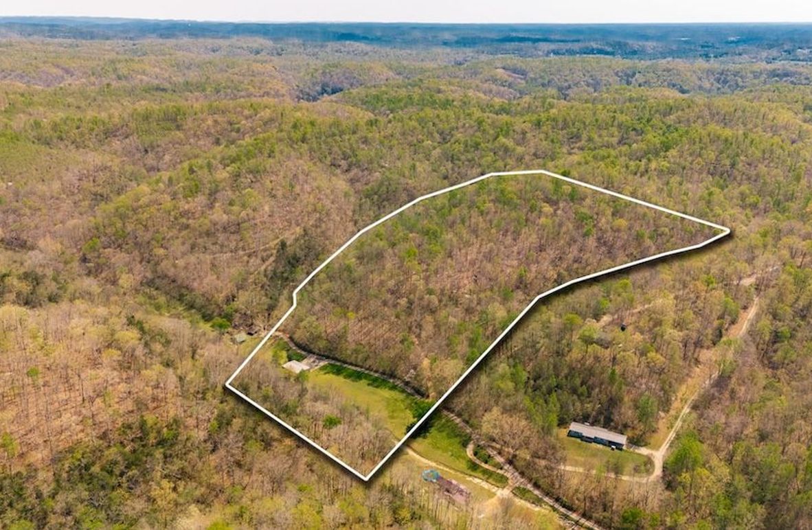 1-web-or-mls-0 Mound Creek Rd-126