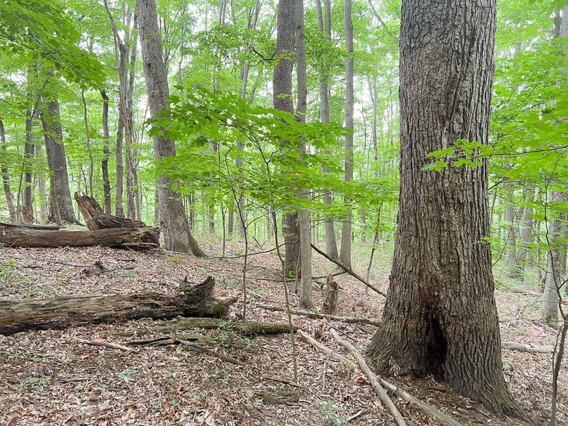 Braxton, WV 46 AC Cooper-67