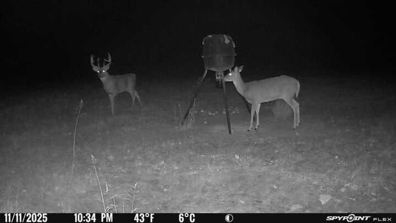 Trail Cam 5