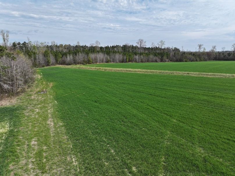 DJI_20260303064422_0577_D