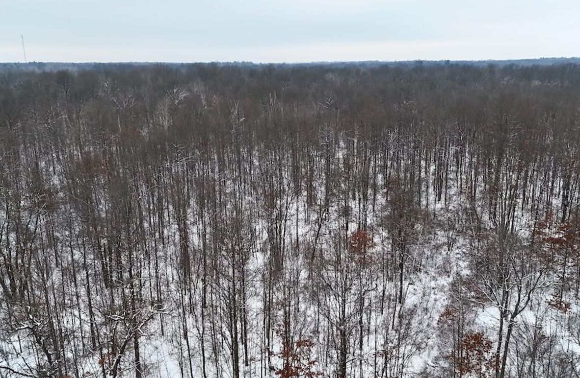 DJI_20260104170835_0157_D