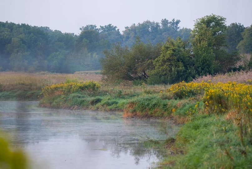 Cedar IA 152 Featured Z41