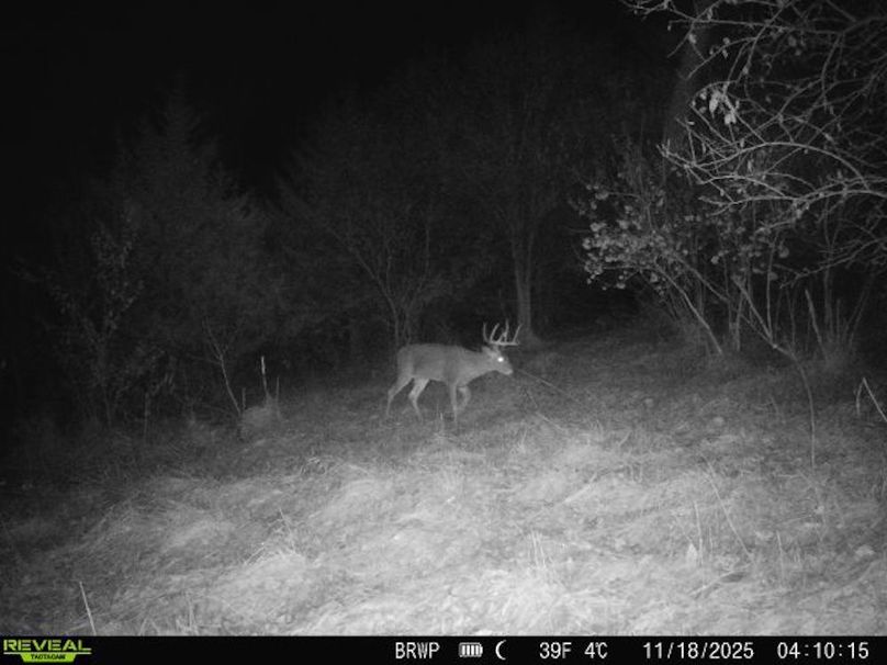 860322065924133-100-4-11182025041014-W1001159