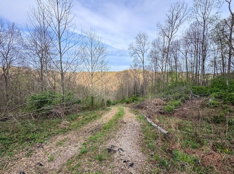 Screenshot 2026-04-21 at 11.36.42 AM