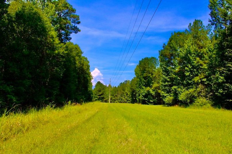 4A1661BB-0661-4F13-85BE-68D2CB952087_1_105_c