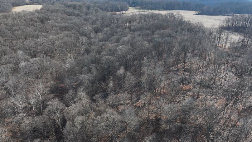 dji_fly_20231130_113808_0121_1701362512321_photo