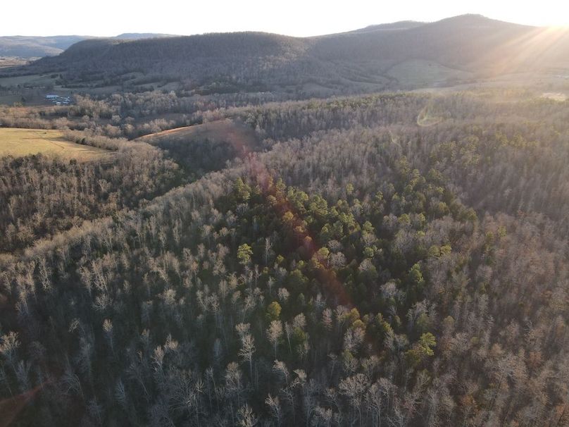 DJI_0317