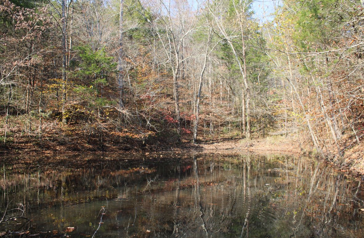 005 the pond wearing its fall colors