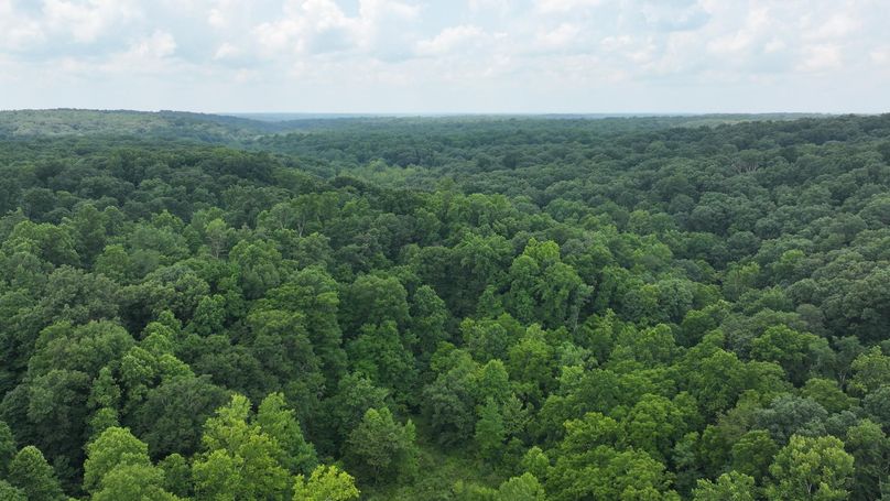 dji_fly_20240711_133320_0223_1720719605576_photo