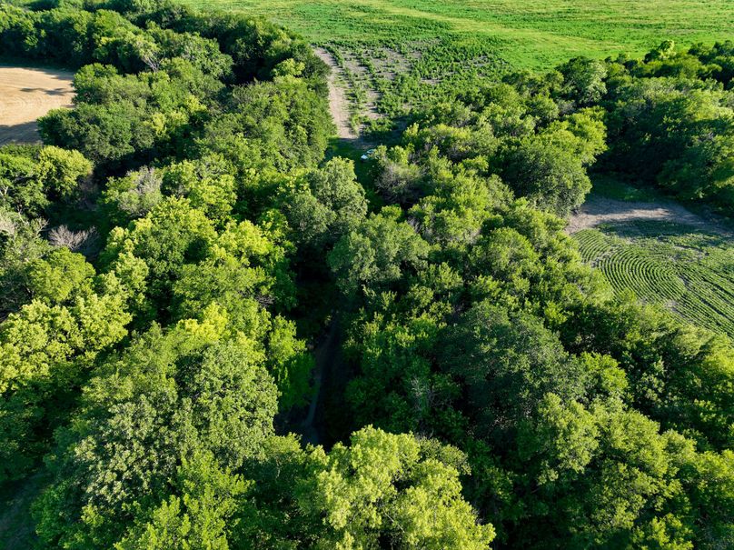 Ottawa, KS, 8.95_021