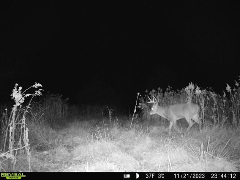 860322065128164-1-4-11212023234412-V-W1005875