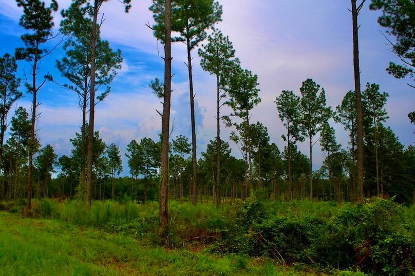 6E9E21AC-10EF-42E1-9304-B9872B28ECBD_1_105_c