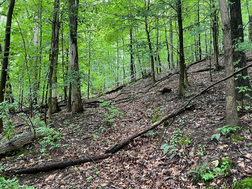 Wirt, WV 150.75 AC Tinnell-40