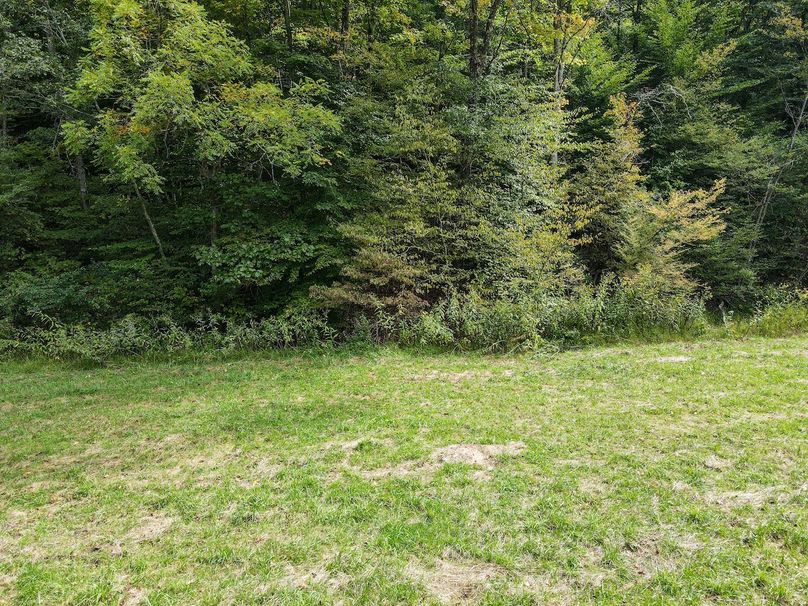 dji_fly_20240913_115814_808_1726243107687_photo