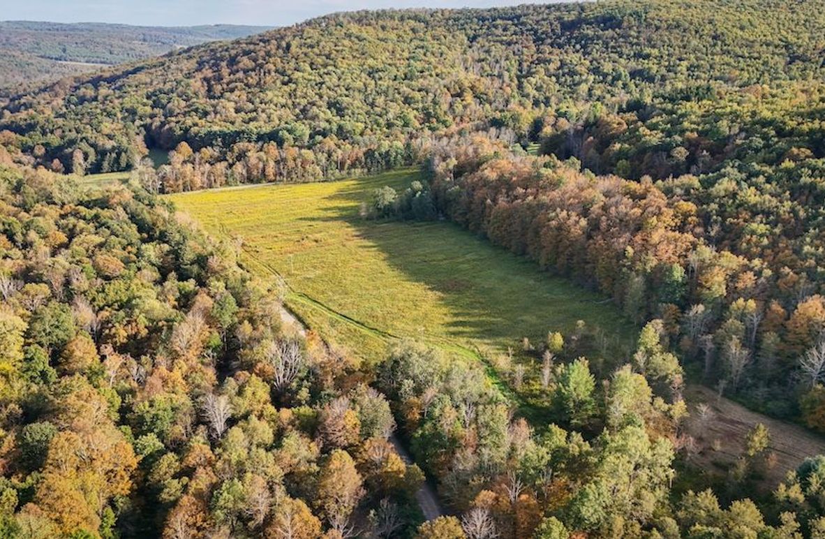 Tioga_30_Flanner Photo 3