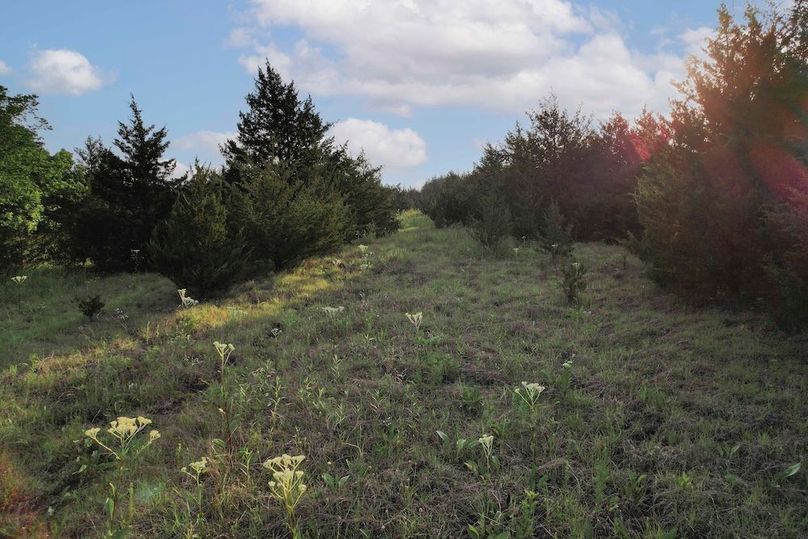 Lamar County- 92.66 Acres (29 of 29)