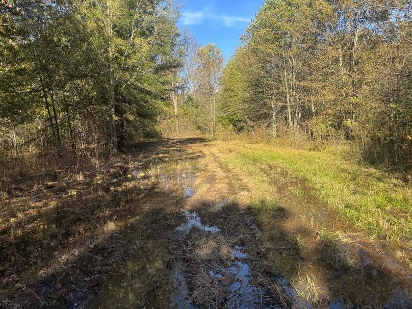 1a1 jeff 8320251111_0250