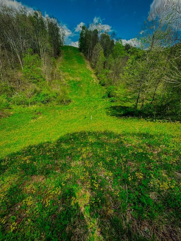 Doddridge, WV 64.69 AC Davis-29