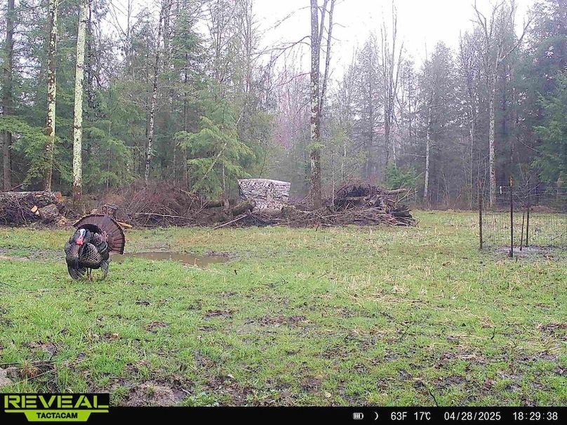 865814048724973-50-3-04282025182938-HD-W1013740