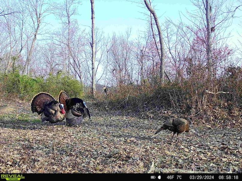 Carter Gordon 70 +_- 011