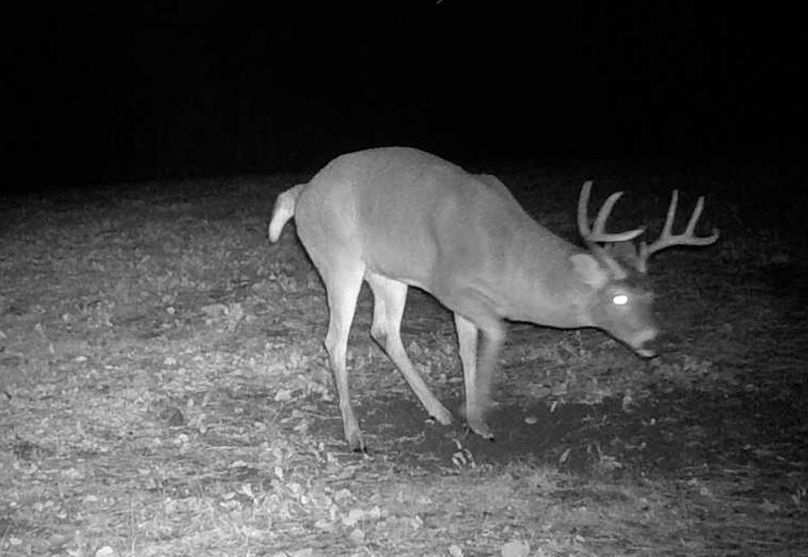 23110703355401000379 (1)