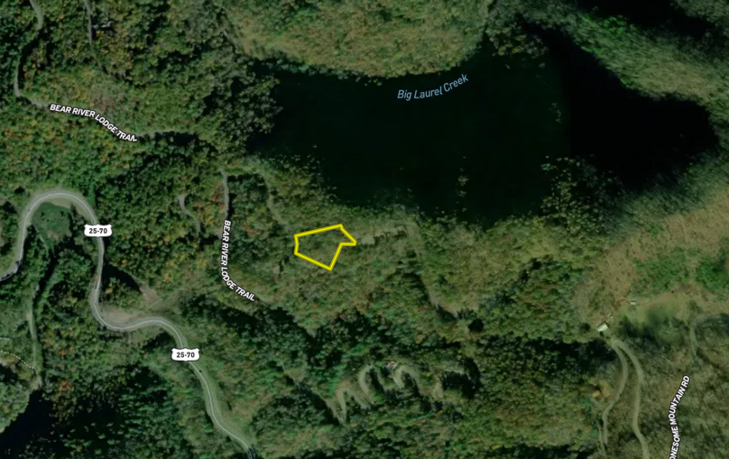 Madison Co 1.31 Pallardy4