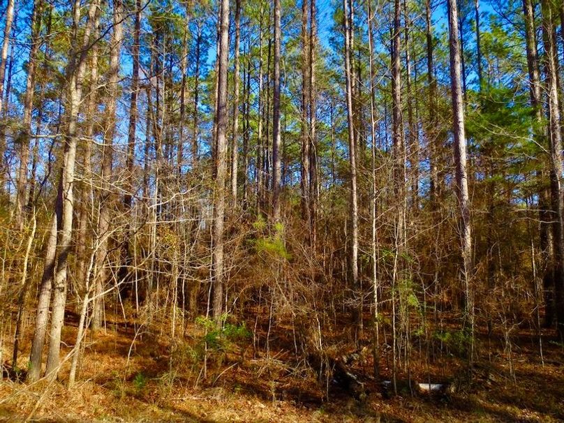 BB48D44F-44E0-40D8-A6AD-D668983346B2_1_105_c